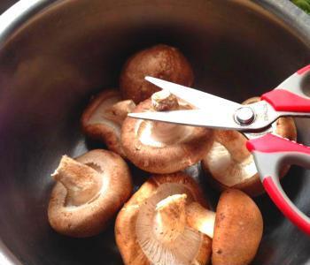 Tự làm bơ đậu phộng shiitake tự làm